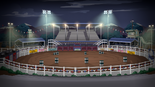 Rodeo Arena