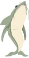 Tardicaca Shark