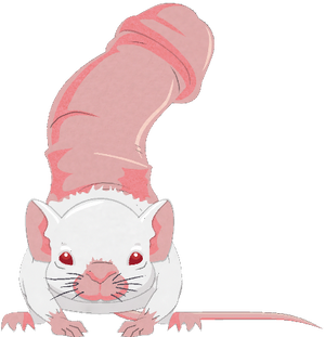 EAP-Mouse.png