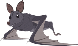 Non-human-wuhan-bat-cc.png