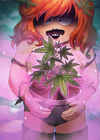 PlantSupCard.png