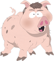 Pig