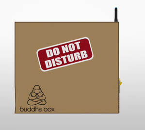 Buddha Box Object.png