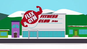 Shops-businesses-flex-gym.png