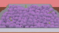 Memberberries 4.png