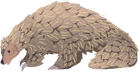 Pangolin