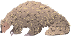 Non-human-animal-pangolin-cc.png