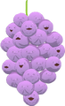 Memberberries