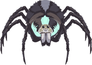 Queen-spider.png