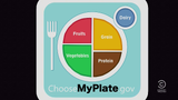 Michelle Obama's MyPlate nutrition guide, whose "Grain" portion was declared "basically poison" following the anti-gluten panic.