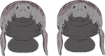 Manatees.png