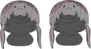 Manatees.png