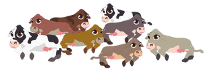 Animals-baby-cows.png