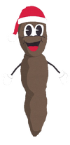 Mr. Hankey transparent.PNG